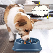 Anti-Gulp Slow Feeder Bowl