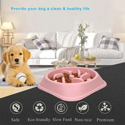 Anti-Gulp Slow Feeder Bowl