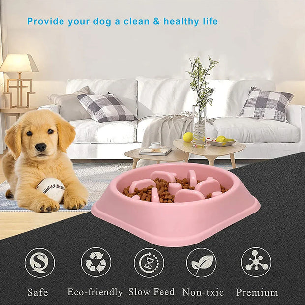 Anti-Gulp Slow Feeder Bowl