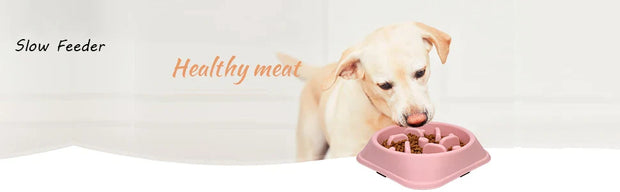 Anti-Gulp Slow Feeder Bowl