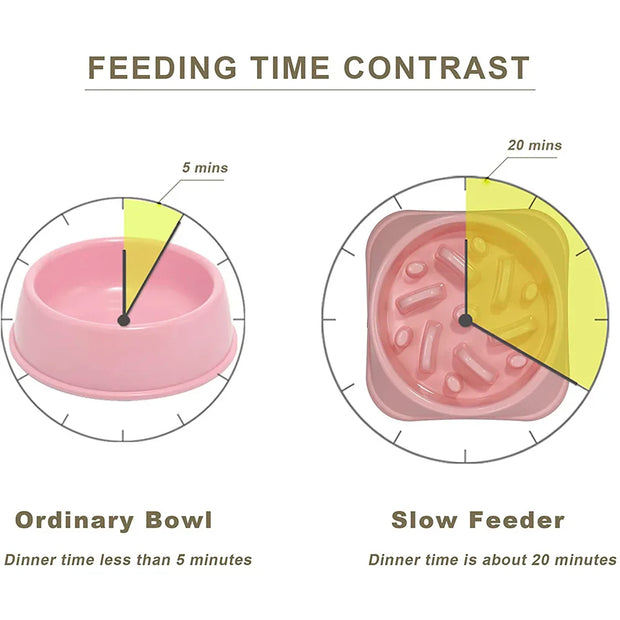 Anti-Gulp Slow Feeder Bowl