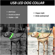 PAWSHIELD NATURAL™ LED Glowing Dog Collar — Rechargeable, Reflective & Night-Safe