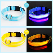 PAWSHIELD NATURAL™ LED Glowing Dog Collar — Rechargeable, Reflective & Night-Safe