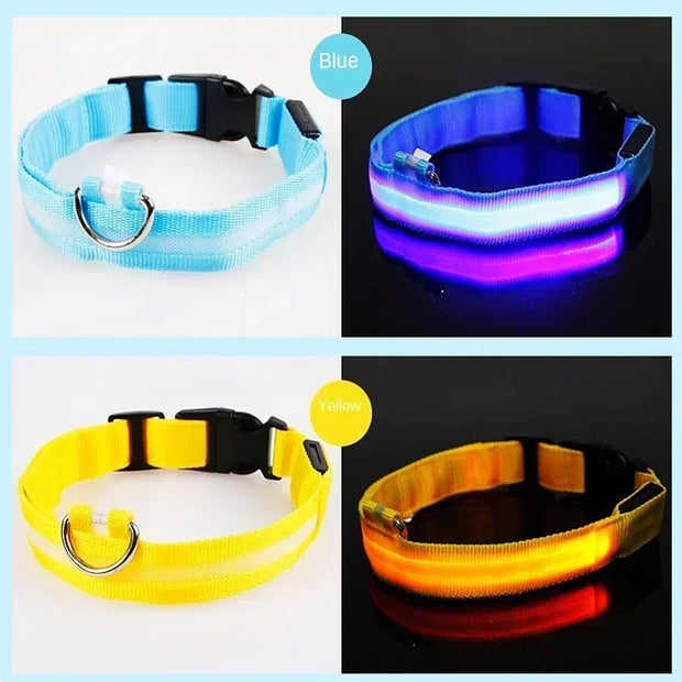 PAWSHIELD NATURAL™ LED Glowing Dog Collar — Rechargeable, Reflective & Night-Safe
