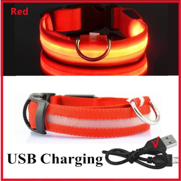 PAWSHIELD NATURAL™ LED Glowing Dog Collar — Rechargeable, Reflective & Night-Safe