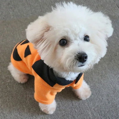 PAWSHIELD NATURAL™ Halloween Pumpkin Pet Costume — Cozy, Cute & Spooky Fun