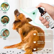 Spot Pet Flea Spray