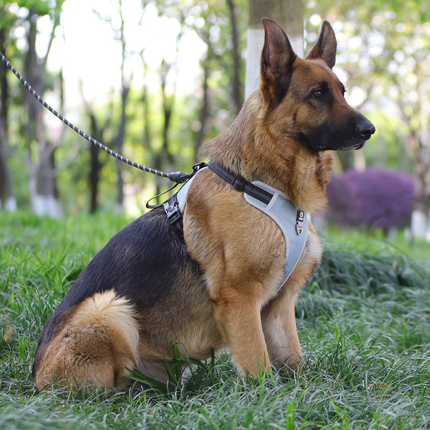 PAWSHIELD NATURAL™ Reflective Mesh Dog Harness & Leash Set — Breathable Comfort & Secure Control
