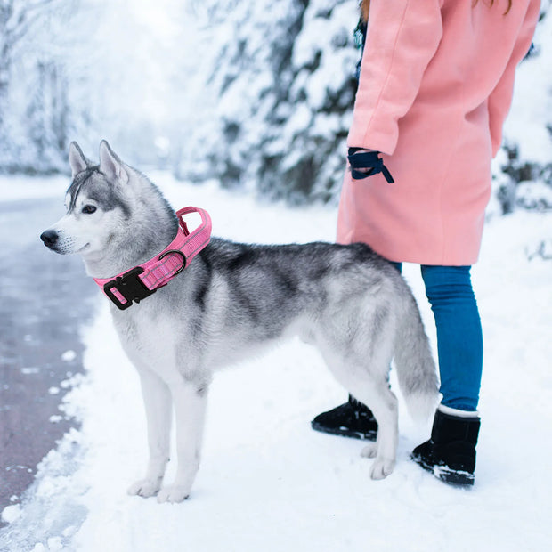 PAWSHIELD™ Tactical Dog Collar