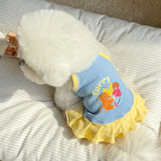 Small Pet Cat Dog