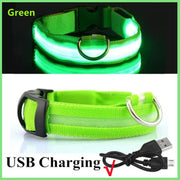 PAWSHIELD NATURAL™ LED Glowing Dog Collar — Rechargeable, Reflective & Night-Safe