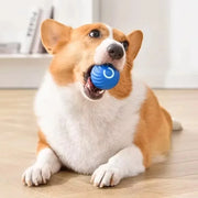 PAWSHIELD™ SmartPlay Motion Ball