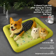 Cooling Puppy Bed