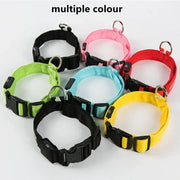 PAWSHIELD NATURAL™ LED Glowing Dog Collar — Rechargeable, Reflective & Night-Safe
