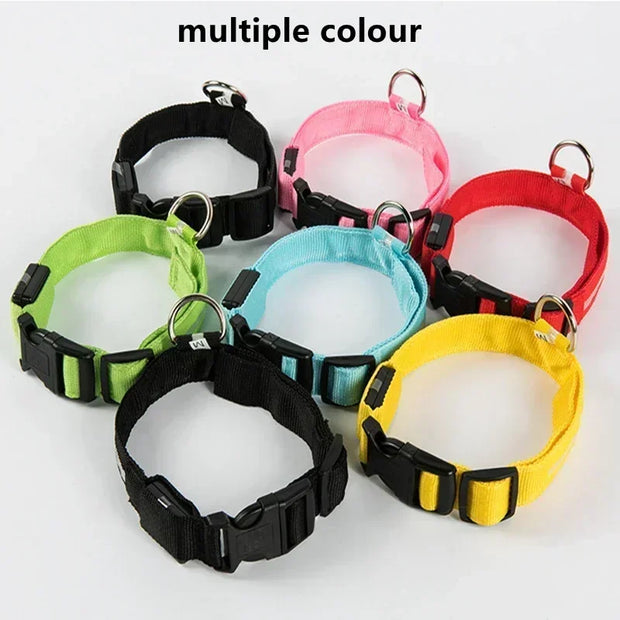 PAWSHIELD NATURAL™ LED Glowing Dog Collar — Rechargeable, Reflective & Night-Safe