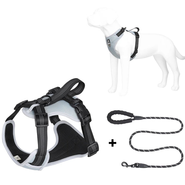PAWSHIELD NATURAL™ Reflective Mesh Dog Harness & Leash Set — Breathable Comfort & Secure Control
