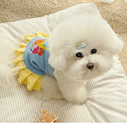 Small Pet Cat Dog