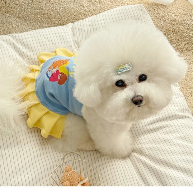 Small Pet Cat Dog