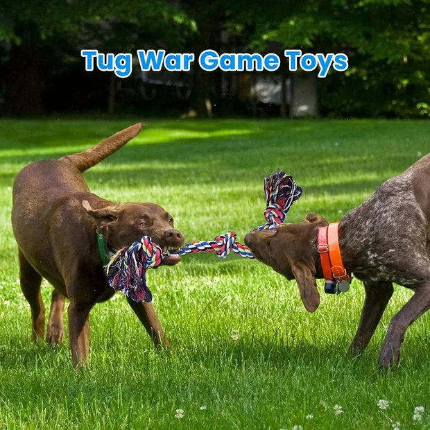 Knot Dog Toys