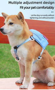 PAWSHIELD NATURAL™ Dog Harness & Backpack Set — Walk, Carry & Explore