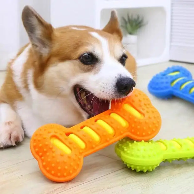 PAWSHIELD NATURAL™ Rubber Bone Chew Toy — Durable, Squeaky & Fun