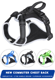 PAWSHIELD NATURAL™ Reflective Mesh Dog Harness & Leash Set — Breathable Comfort & Secure Control