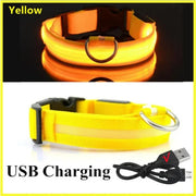 PAWSHIELD NATURAL™ LED Glowing Dog Collar — Rechargeable, Reflective & Night-Safe