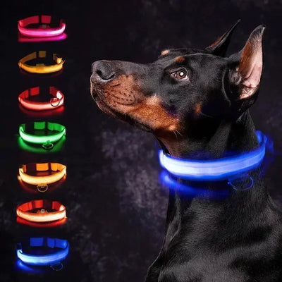 PAWSHIELD NATURAL™ LED Glowing Dog Collar — Rechargeable, Reflective & Night-Safe
