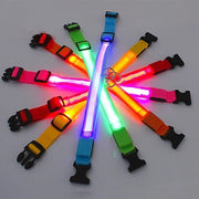 PAWSHIELD NATURAL™ LED Glowing Dog Collar — Rechargeable, Reflective & Night-Safe