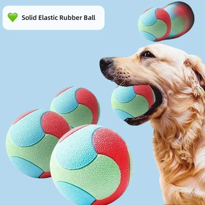 Bouncy Ball Toys Pet Dog Toys Bite Resistant  for Small Medium Dogs Tooth Cleaning Ball Dog Chew Toys Pet Training Products