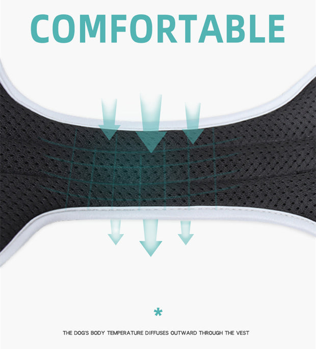 PAWSHIELD NATURAL™ Reflective Mesh Dog Harness & Leash Set — Breathable Comfort & Secure Control