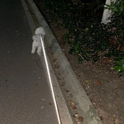 PAWSHIELD™ WalkEasy Pro