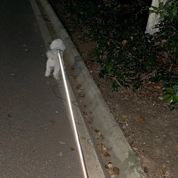 PAWSHIELD™ WalkEasy Pro
