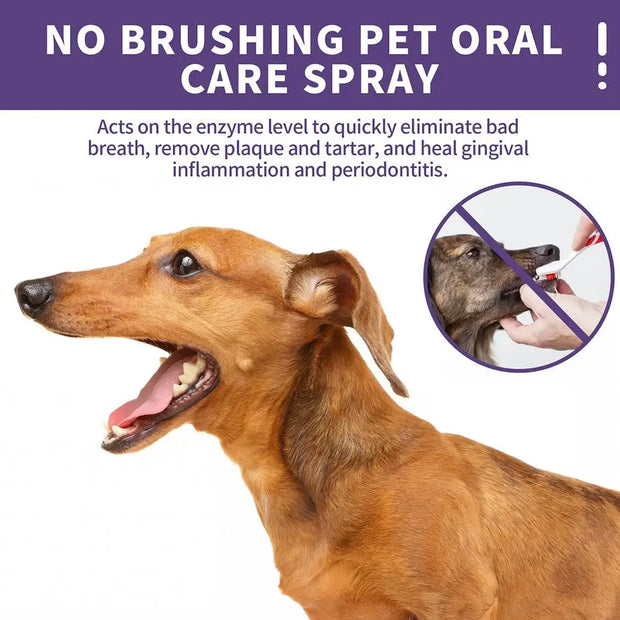 PAWSHIELD NATURAL™ Pet Oral Cleanse Spray — Fresh Breath & Dental Care Made Easy