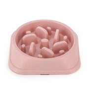 Anti-Gulp Slow Feeder Bowl