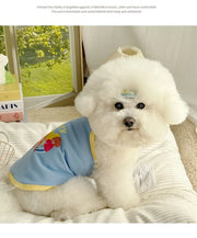 Small Pet Cat Dog