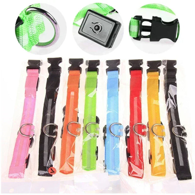 PAWSHIELD NATURAL™ LED Glowing Dog Collar — Rechargeable, Reflective & Night-Safe