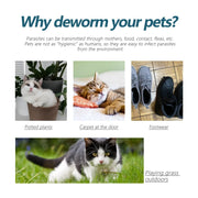 PAWSHIELD NATURAL™ Flea & Tick Drops — Fast Relief & Lasting Protection