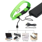 PAWSHIELD NATURAL™ LED Glowing Dog Collar — Rechargeable, Reflective & Night-Safe