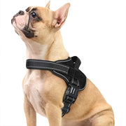 PAWSHIELD NATURAL™ Reflective Dog Harness Vest — Secure, Comfortable & Explosion-Proof