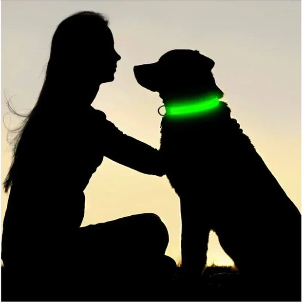 PAWSHIELD NATURAL™ LED Glowing Dog Collar — Rechargeable, Reflective & Night-Safe