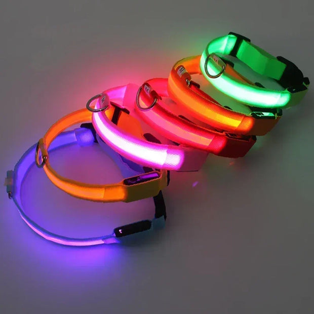 PAWSHIELD NATURAL™ LED Glowing Dog Collar — Rechargeable, Reflective & Night-Safe