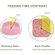 Anti-Gulp Slow Feeder Bowl