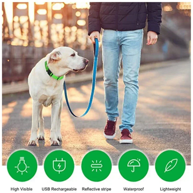 PAWSHIELD NATURAL™ LED Glowing Dog Collar — Rechargeable, Reflective & Night-Safe