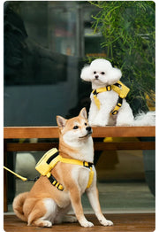 PAWSHIELD NATURAL™ Dog Harness & Backpack Set — Walk, Carry & Explore