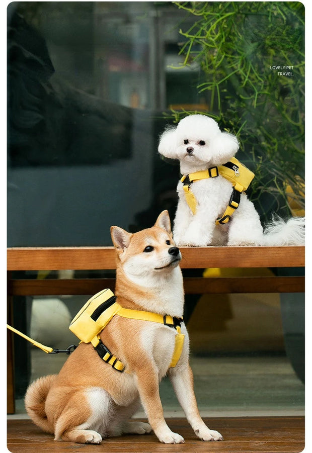 PAWSHIELD NATURAL™ Dog Harness & Backpack Set — Walk, Carry & Explore