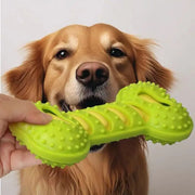PAWSHIELD NATURAL™ Rubber Bone Chew Toy — Durable, Squeaky & Fun