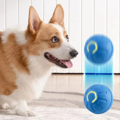 PAWSHIELD™ SmartPlay Motion Ball
