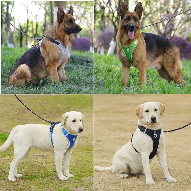 PAWSHIELD NATURAL™ Reflective Mesh Dog Harness & Leash Set — Breathable Comfort & Secure Control