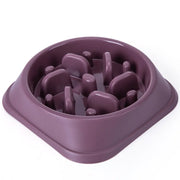 Anti-Gulp Slow Feeder Bowl